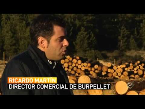 El pellet, la energía más limpia