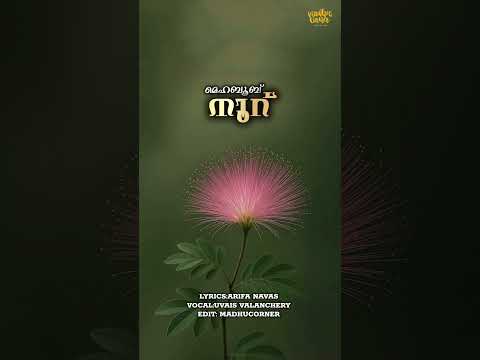 മെഹബൂബ് നൂറ്🔥🥀✍️arifa navas🎤Uvais Valanchery#new#song#reels#share#like#comment#love#viral#video#sad