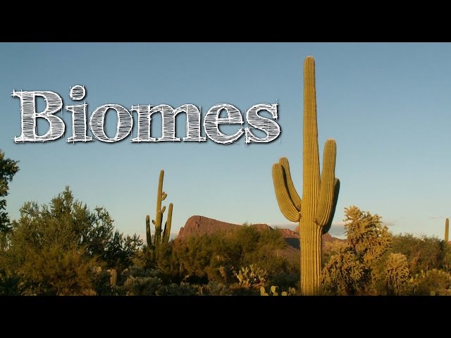 הגיית וידאו של Biome בשנת אנגלית