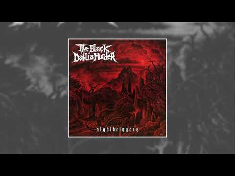 Video thumbnail for The Swarm