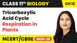 Tricarboxylic Acid Cycle - Respiration in Plants | Class 11 Biology Chapter 12 | CBSE 2024-25