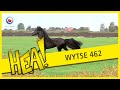 HEA! Wytse 462