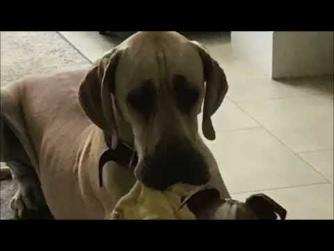 *Viewer Submitted Video* Don't Wash My Blanket by Hap Palmer