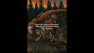 The dinosaurs that we know had feathers #feathereddinosaurs #dinosaur