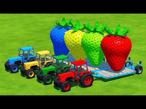 Transport Giant Colored Strawberry With Fiat Tractors - Farming Simulator 22
