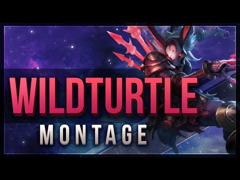 Wildturtle Challenger Montage