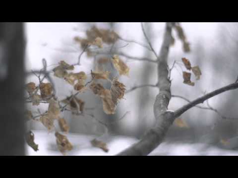 MELO-X | Light + Space (Dir. The Martian Project) (Official Video)