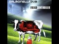 Salmonella dub - untangling