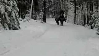 preview picture of video 'Snowboarding by Horse'