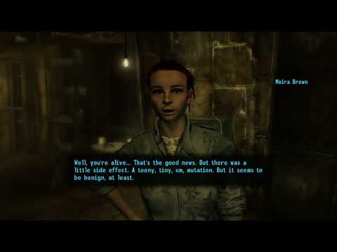 The Cool Cat of the Capital #2 - Survival Guru (part 1)