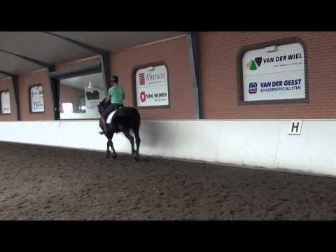 Stal de Merskens Benke 1ex wissels