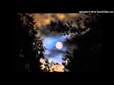 Today's Tango Is... Tu Pálida Voz - Porfirio Díaz 1947