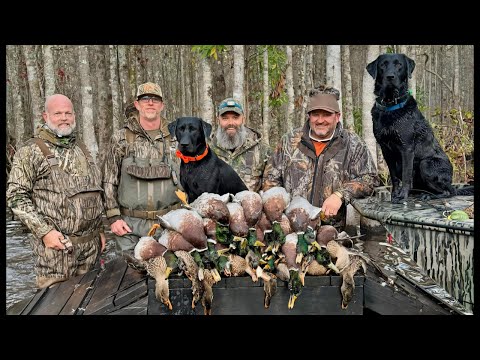 More Than A Hunt | Ducks, Dogs, and Brotherhood Mossy Pond Day 2