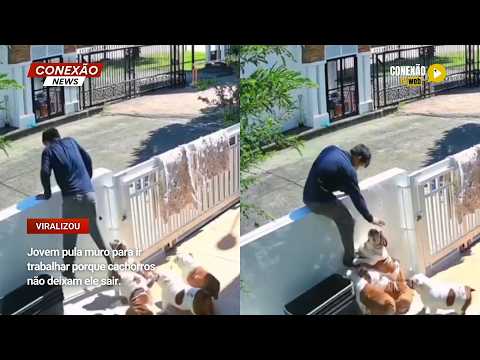 Vídeo: Jovem pula muro para ir trabalhar porque cachorros não deixam ele sair.