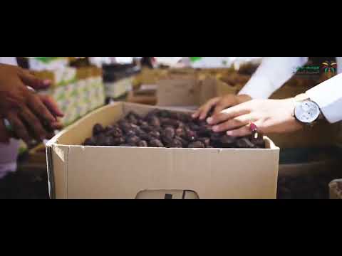 موسم تمور المدينة