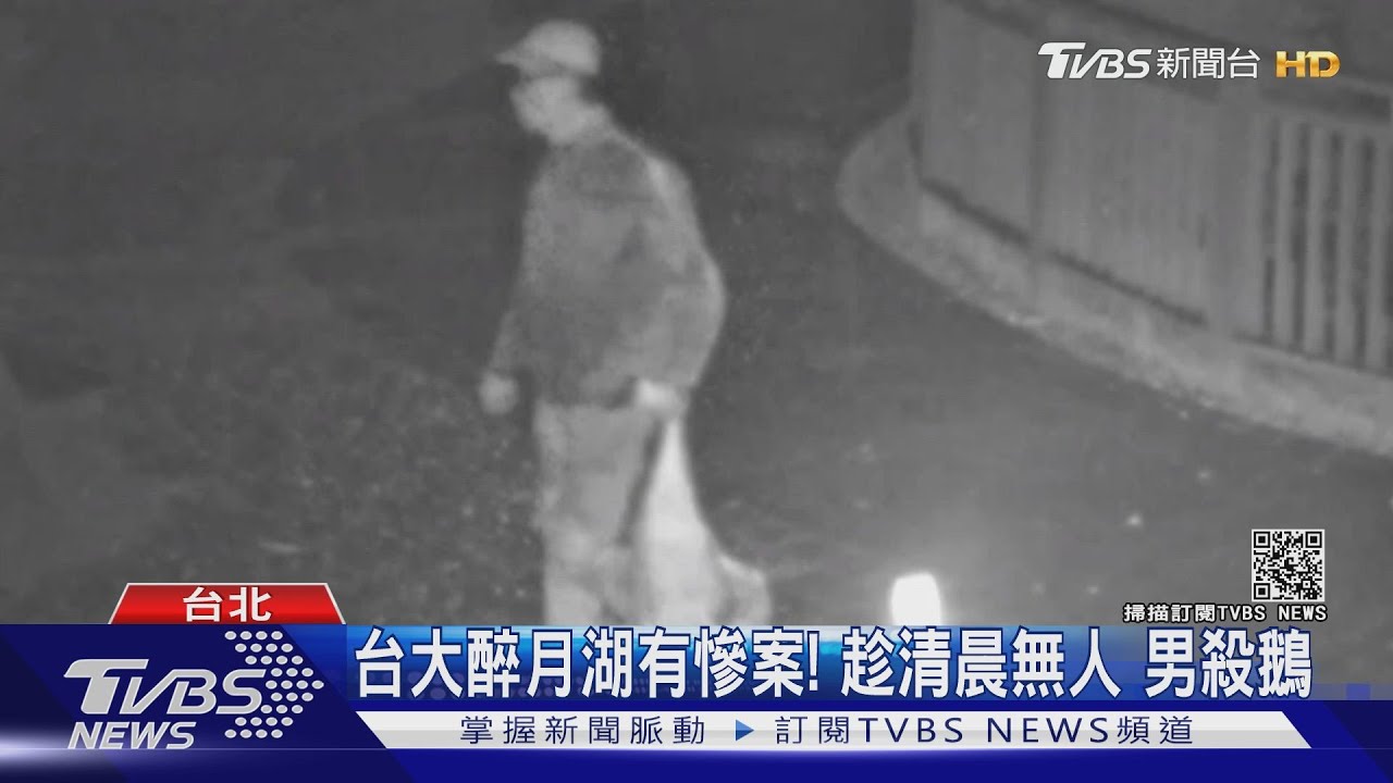 台大醉月湖當狩獵場! 男趁清晨無人竟殺鵝帶走