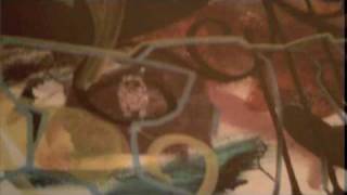 Fiona Apple &quot;Slow Like Honey&quot; - Video by Kitty Savage -