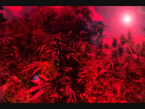 Reggaenerator - Loco by Kadubra (Are You Ready 4 Raggamuffin?) 2002