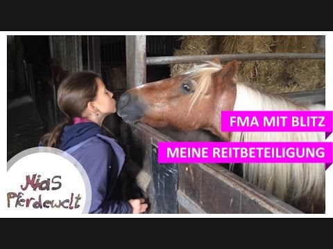 Meine erste Reitbeteiligung: FMA mit Blitz