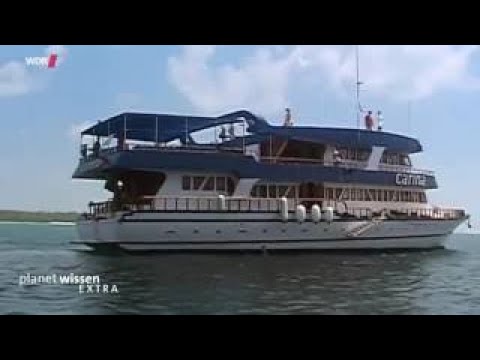 Inselträume - Die Malediven | Doku 2017 NEU in HD