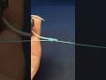 Best Knot for Eyeless Fishing Hooks #fishing #fishingknot #fishingtips #shorts