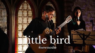 Little Bird | Moshe Halperin | Lyric Video