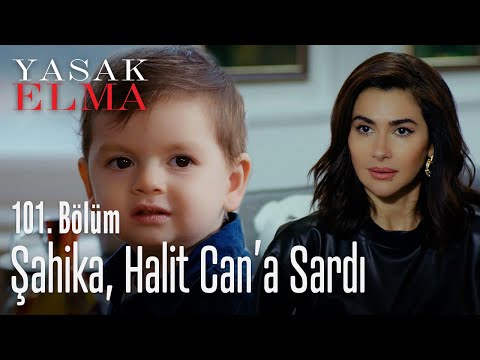 Şahika, Halit Can'a sardı - Yasak Elma 101. Bölüm