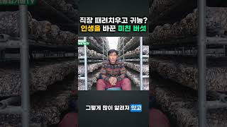 직장 때려치우고 <b class="sch_word">귀농</b> 인생을 바꾼 미친 버섯