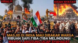 Download lagu VIRAL‼️RIBUAN SAPI LINDUNGI MASJID YANG DI DEMO WARGA INDIA UNTUK DIROBOHKAN, WARGA MUALAF SEKETIKA mp3