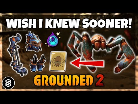 12 Things I WISH I KNEW before fighting AXL