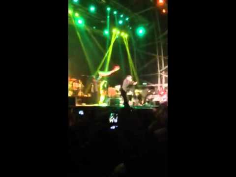 Damien Marley raggamuffin 2014
