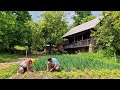 Mountain Life In Transylvania Syrup Garden Cooking Beekeeping
