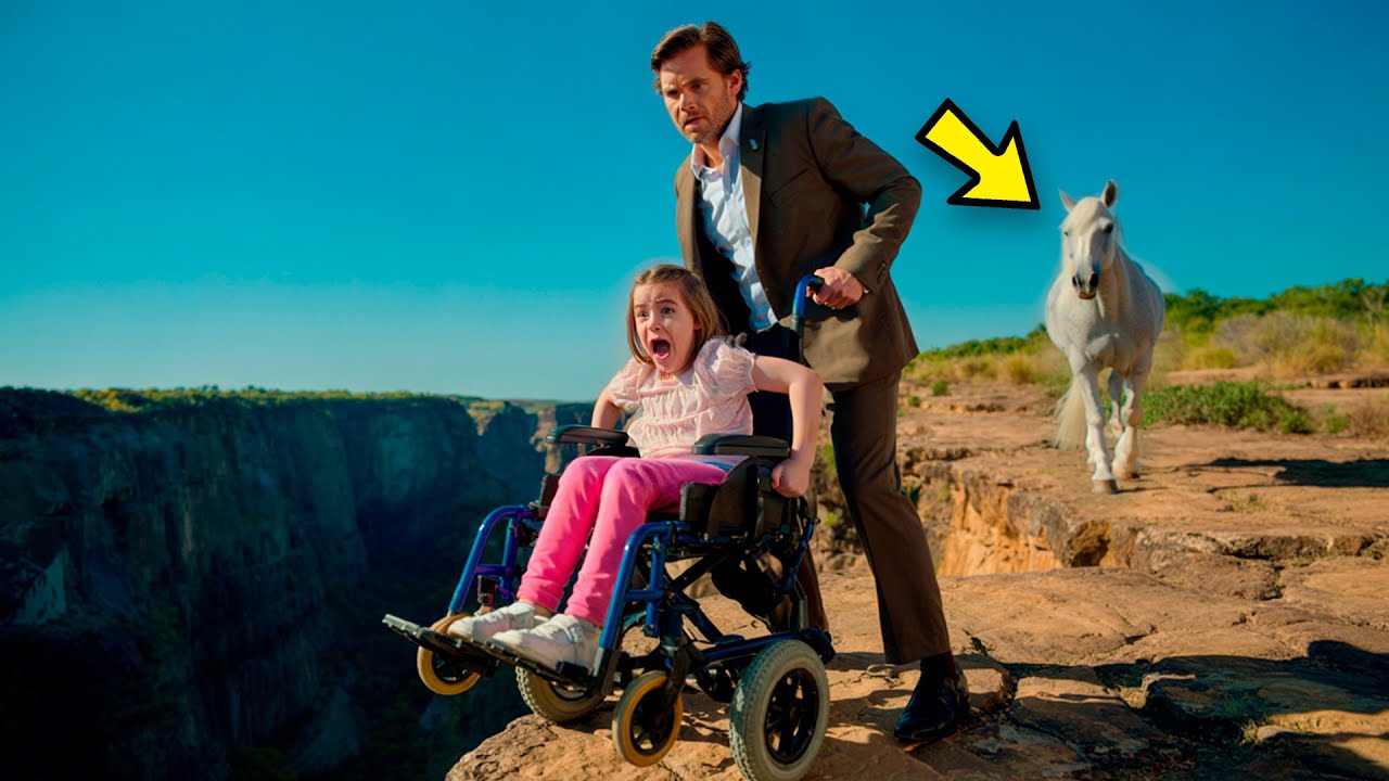 RICH MAN PUSHES HIS WHEELCHAIR-BOUND DAUGHTER OFF THE CLIFF, BUT THE HORSE SAW EVERYTHING AND...