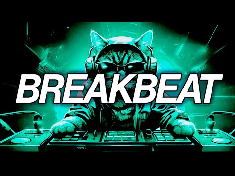 BREAKBEAT MIX 2025 - Nocturnia Breakbeat #206🔥