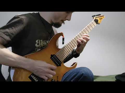 Frank Gambale's "monster lick" by Jakub Tokaj (180 bpm)