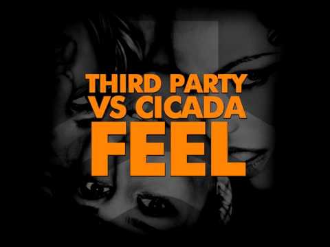 Third Party feat Cicada - Feel (original_mix)