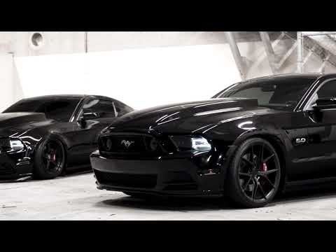 Modified and Murdered Out Mustangs// HDMI- Bones