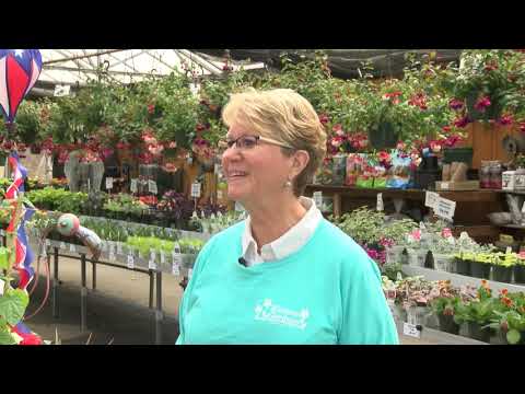 Yankee Chronicle with Jill Kathan of Kathan Gardens