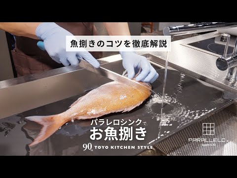 アメリカナキウサギ (Ochotona Princeps)