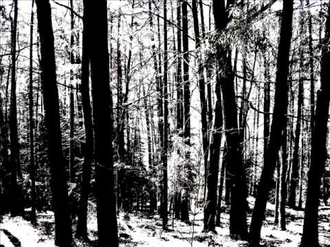 Leoš Janáček: Auf verwachsenem Pfade