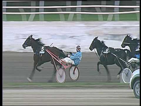 Trotto 11/11/2016 - 4ª corsa