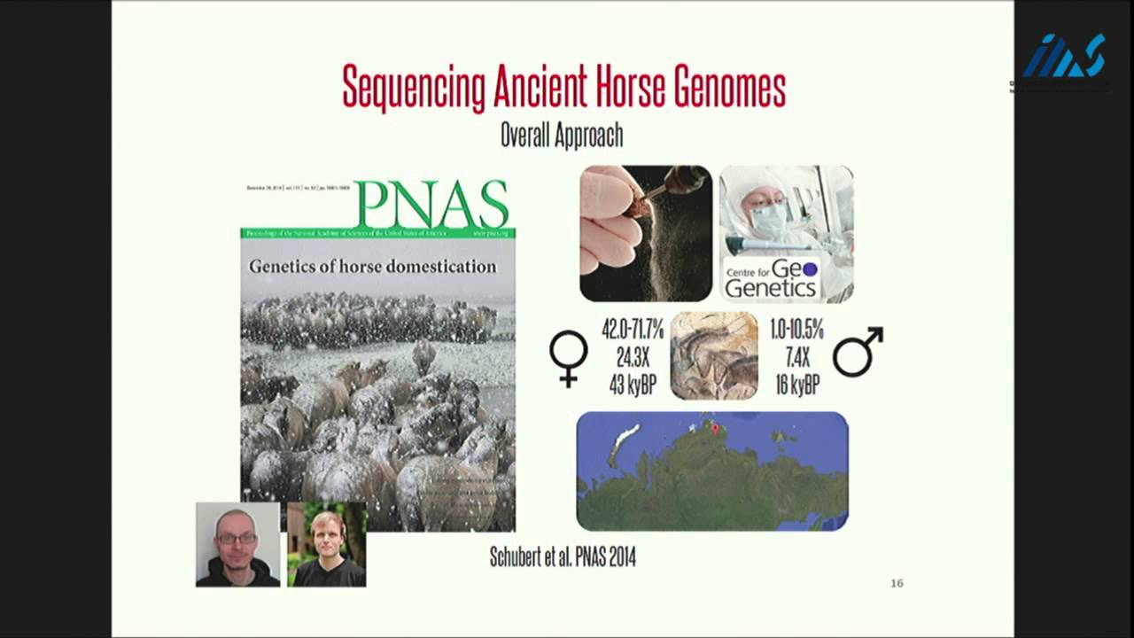 Ludovic Orlando- A paleogenomic perspective on horse domestication