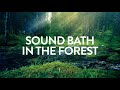 Sound Bath In The Forest A 432Hz A Serene Forest Bath Accompanied By Gentle Ambient Tones