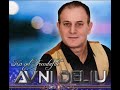 Avni Deliu - Na Vjen Dita