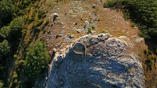 Senda del Gigante del Valle Estrecho (Montaña Palentina. PR-P 07 - Palencia)