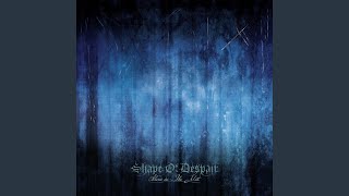 Down into the Stream