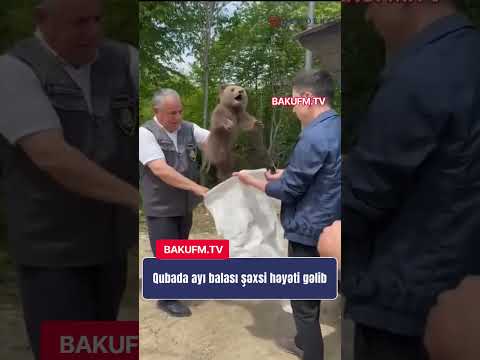QUBADA AYI BALASI HƏYƏTİ GƏLDI