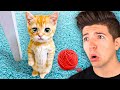 WORLD S Strongest Man REACTS To World S CUTEST Videos