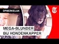 Wat klopt er niet aan deze hond?