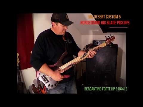 MG Desert Custom 5 w/Nordstrand BigBlade pickups - Andy Irvine